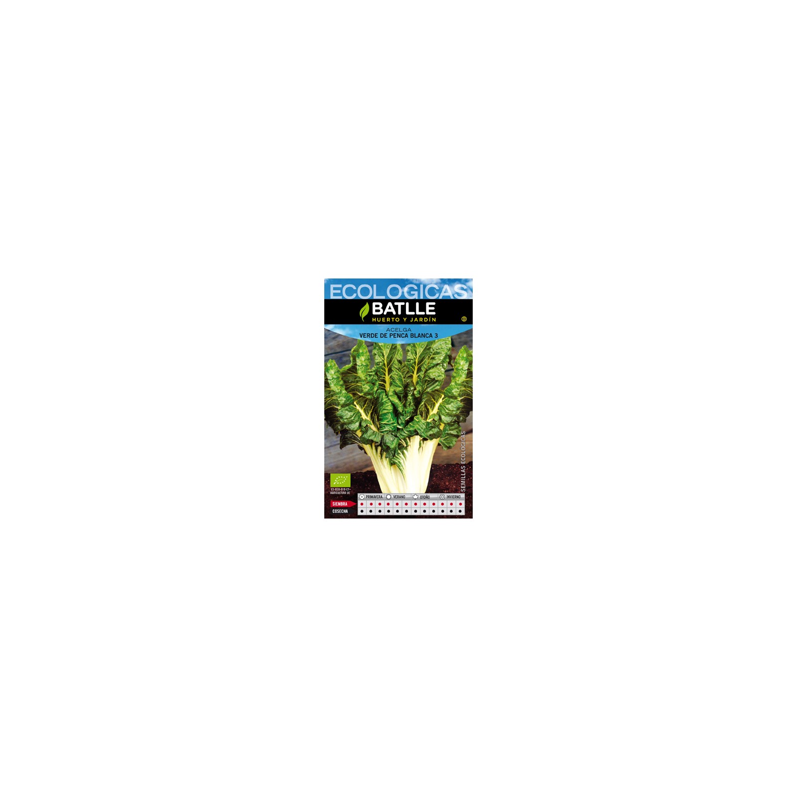 Acelga Verde Blanca 3 Pencas 25 Gr Acelga Verde Blanca 3 Pencas 25 Gr