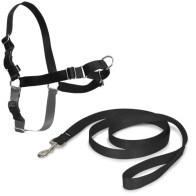 Arnés Easy Walk Grande Rojo para Perros