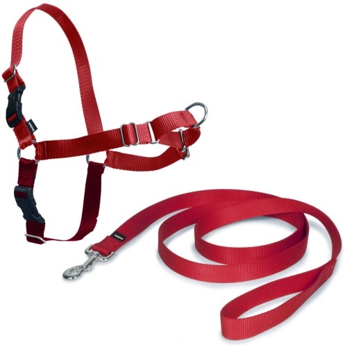 Arnés Easy Walk Grande Rojo para Perros
