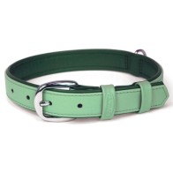 Collar Summertime Nº1 Menta para Mascotas
