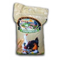 Chick Starter Crumbles 25 Kg