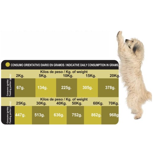 Visan Proct Dog Adult Energy 20kg
