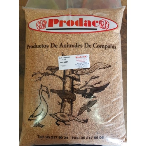 Vinci Yellow Millet Seeds 25 Kg for Small Birds