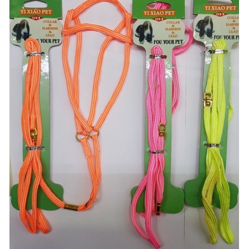 Nylon Exhibition Harness and Leash Set