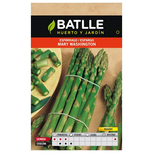 Mary Washington Green Asparagus Seeds for Planting