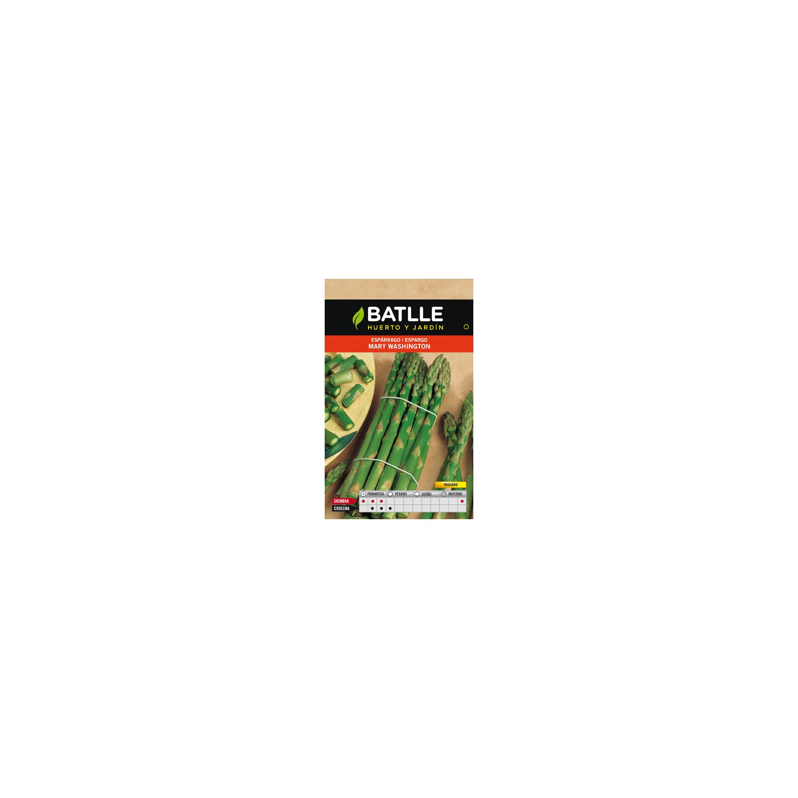 Semillas de Espárrago Verde Mary Washington para Cultivar Semillas de Espárrago Verde Mary Washington para Cultivar