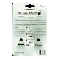 Reusable Mouse Trap with Permanent Bait