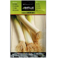 Carentan Leek Seeds 3 Pack for Gardening