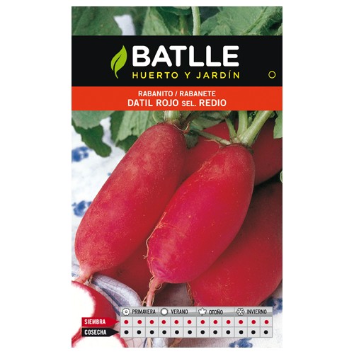 Sobre de Semillas de Rábano Datil Rojo para Cultivo