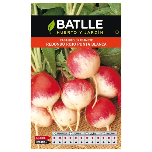 Red Round Radish Seed Packet for Fast Cultivation