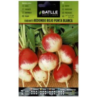 Red Round Radish Seed Packet for Fast Cultivation