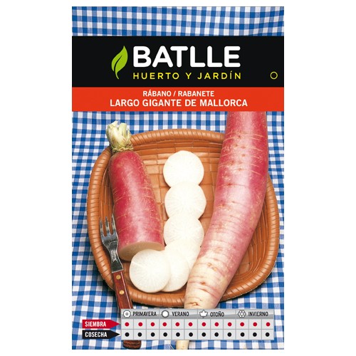 Giant Mallorca Radish Seeds