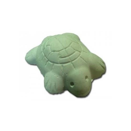 Calcio Tortugas