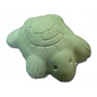 Calcio Tortugas