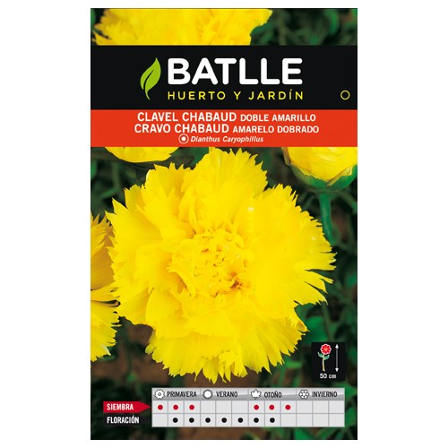 Chabaud Double Yellow Carnation Seeds for Garden