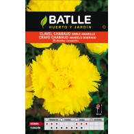 Semillas de Clavel Chabaud Doble Amarillo para Jardín