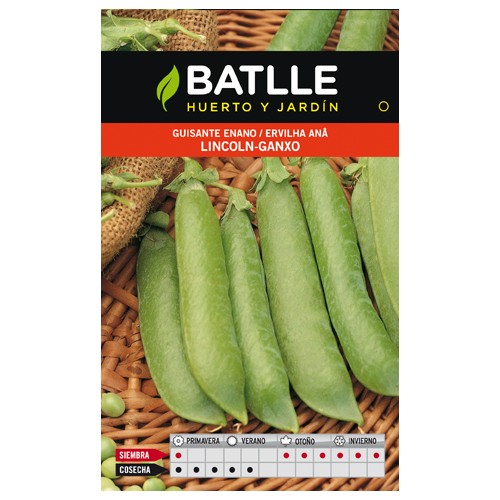 Lincoln Pea Seeds 250 Gr. - Sweet and Tender