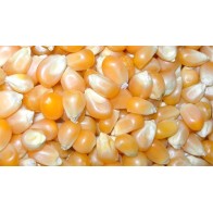 Prodac Maize 5 Kg for Pets
