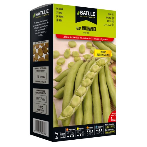 Habas Muchamiel para Usos Culinarios 1 Kg.