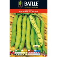 Habas Muchamiel para Usos Culinarios 1 Kg.
