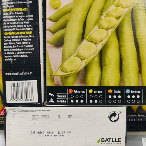 Muchamiel Broad Beans for Culinary Uses 1 Kg