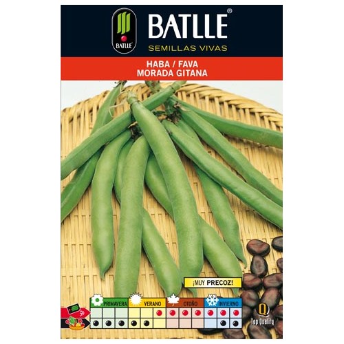 Haba Morada Gitana 1 Kg