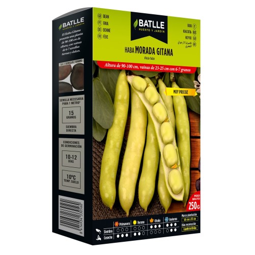 Purple Gitana Broad Bean 250g
