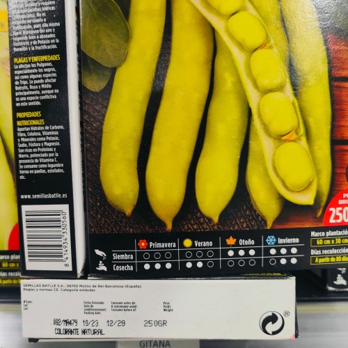 Purple Gitana Broad Bean 250g
