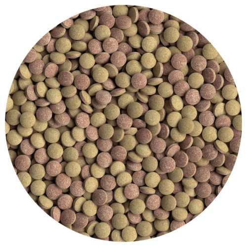 Tetratabimin 120 Tabletas para Peces Ornamentales