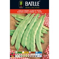 Green Bean Buenos Aires Ver.s.evita