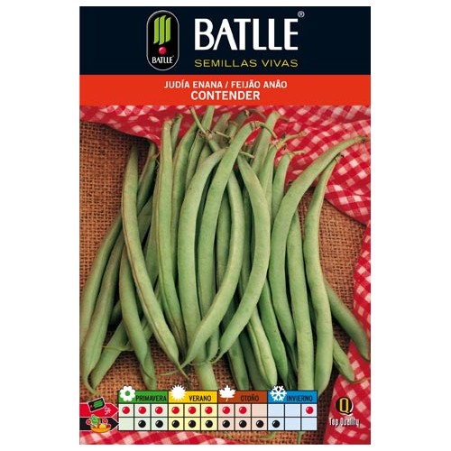 Judia Contender 100 Gr. Enana
