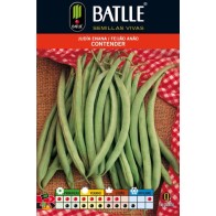 Contender Bush Beans Dwarf 100 Gr