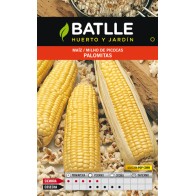 Popcorn Maize