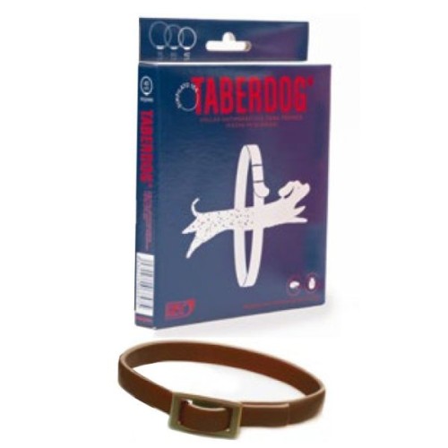 Taberdog Collar Dimpilato 60cm