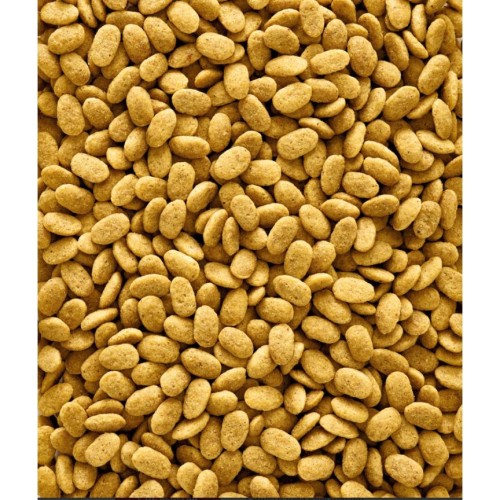 Alimento para Papagayos Nutribird P15 Original 1kg.