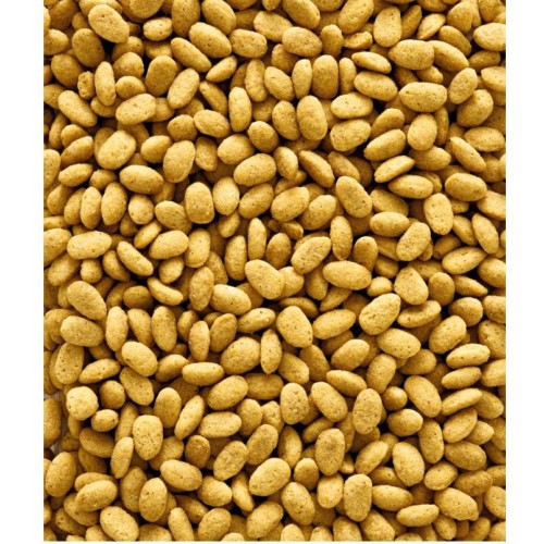NutriBird P19 Original Breeding 10 Kg Versele-laga