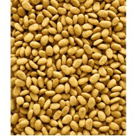 NutriBird P19 Original Breeding 10 Kg Versele-laga