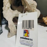 Decoración de Roca Natural para Acuario con Agujeros