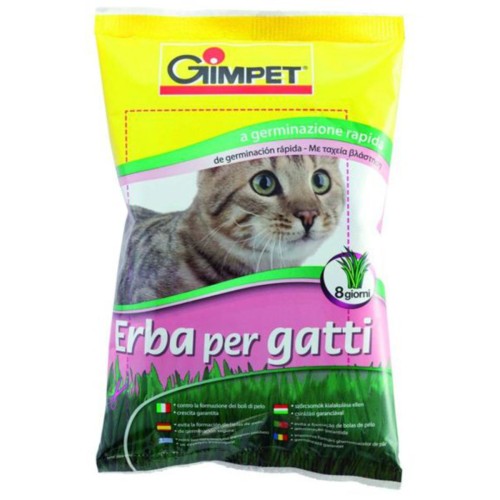 Hierba Gato 100 Grs. Gimpet
