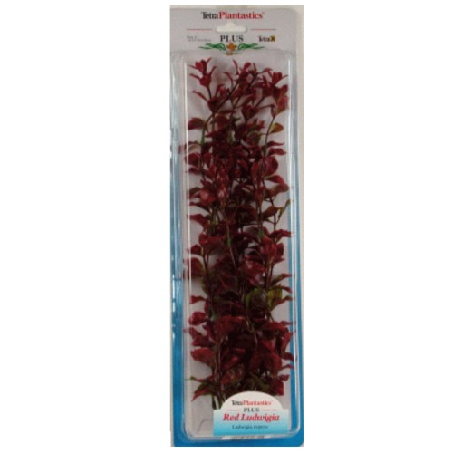 Luwigia Plus Red Plant 28-33cm - Stunning Aquatic Addition