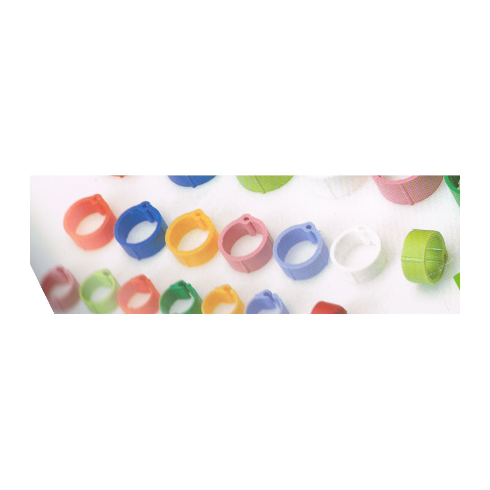 Anilla Plastico Palomas 8mm. 100 Uds.bolsa
