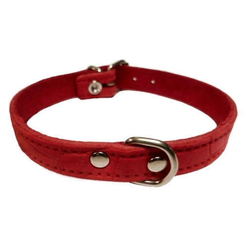 Collar de Piel Labrado 12x300