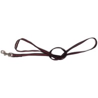 Majestic Nylon Leash for Safe Walks
