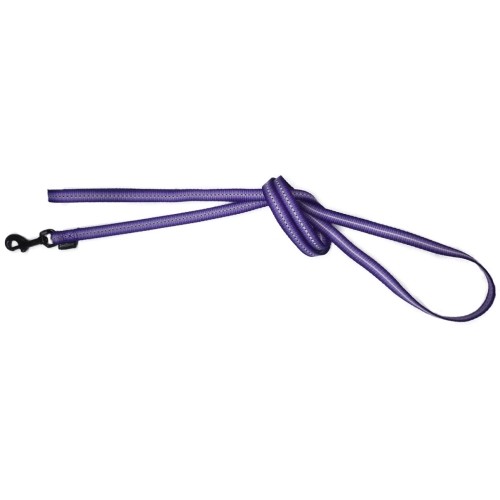 Ramal Nylon Majestic Para Paseos Seguros