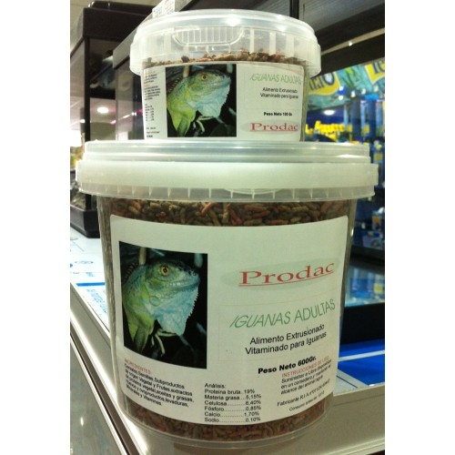 Iguana Adulta 500gr.prodac