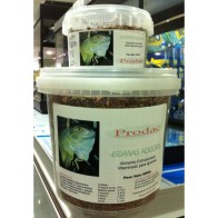 Iguana Adulta 500gr.prodac