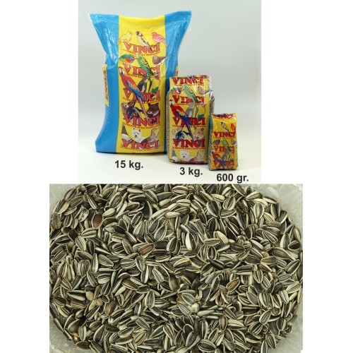Iregui Vinci Pipelines 3 Kg