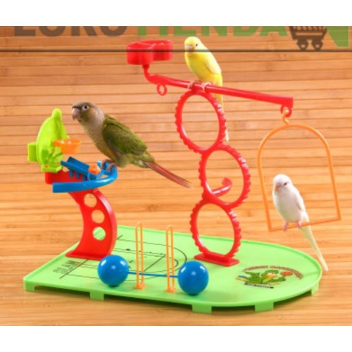 Basketball Park for Parakeets, Lovebirds