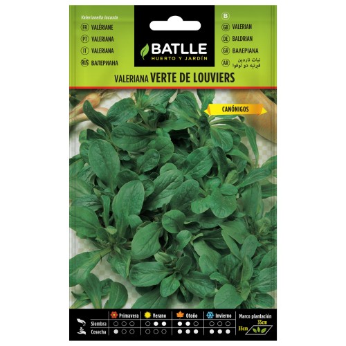 Louviers Green Valerian for Medicinal Use