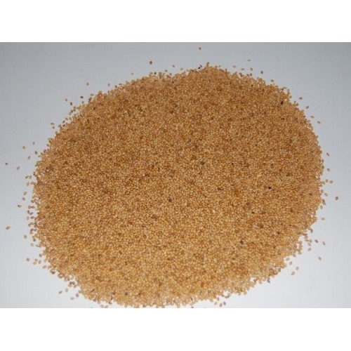 Panico Grain 500 Gr. for Birds